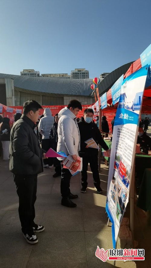 如何精准服务求职者就业 看临沂招聘市场如何变变变