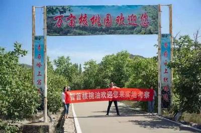 临沂费县招聘(临沂费县大学)