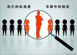 我的音乐小精灵 爱国者音效王P892抢先试用体验